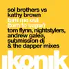 Turn Me Out (Turn to Sugar) [Sol Brothers vs. Kathy Brown] [Remixes] album lyrics, reviews, download