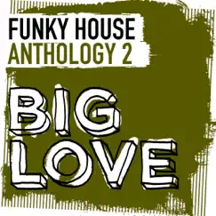 Big Love Funky House Anthology 2 by Various Artists album reviews, ratings, credits