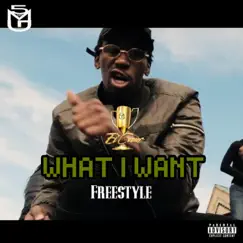 What I Want Freestyle - Single by ElGano album reviews, ratings, credits