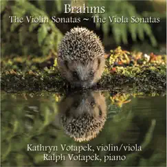 Violin Sonata No. 3 in D Minor, Op. 108: II. Adagio Song Lyrics