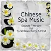 Chinese Spa Music: Sounds Therapy for Total Relax Body & Mind, Easy Listening Ambient for Massage, Mindfulness Meditation, Stress Relief album lyrics, reviews, download