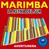 La Reyna del Sur album lyrics, reviews, download
