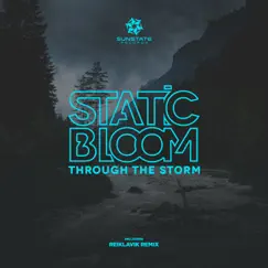 Through the Storm Song Lyrics