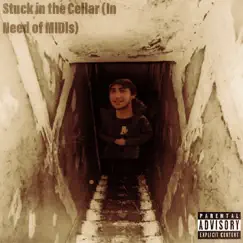 Stuck in the Cellar (In Need of MIDIs) - Single by IB18Cancer album reviews, ratings, credits