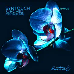 Orchid - Single by Syntouch album reviews, ratings, credits