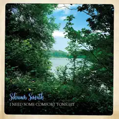 I Need Some Comfort Tonight - Single by Shawn Smith album reviews, ratings, credits