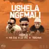Ushela Ngemali (feat. Ma Eve, DJ TPZ & Teriana) - Single album lyrics, reviews, download