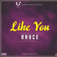 Like You - Single by Rayce album reviews, ratings, credits