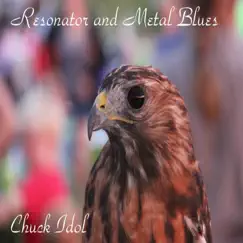 Resonator and Metal Blues - Single by Chuck Idol album reviews, ratings, credits