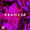 Promise - Single album lyrics, reviews, download