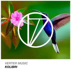 Kolibri Song Lyrics