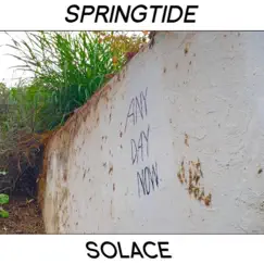 Any Day Now by Springtide Solace album reviews, ratings, credits