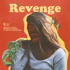 Revenge Song Lyrics