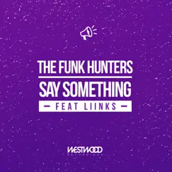 Say Something feat. LIINKS - Single by The Funk Hunters album reviews, ratings, credits