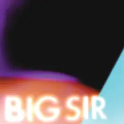 Before Gardens After Gardens by Big Sir album reviews, ratings, credits