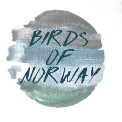 Turning of the Tide - Single by Birds of Norway album reviews, ratings, credits