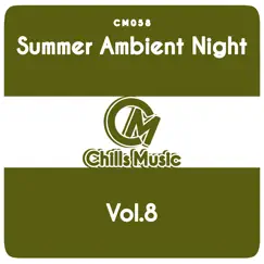 Summer Ambient Night, Vol. 8 by Various Artists album reviews, ratings, credits