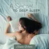 A Secret to Deep Sleep album lyrics, reviews, download