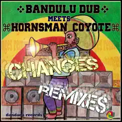 Changes (feat. Hornsman Coyote) [Krusseldorf Remix] Song Lyrics