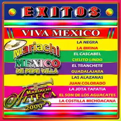 Fiesta Mexicana, Vol. 1 by Mariachi Mexico de Pepe Villa & Mariachi Azteca 2000 album reviews, ratings, credits