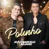 Potinho - Single album lyrics, reviews, download