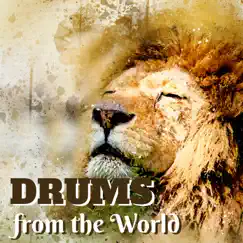 Drums from the World - African Ethnic Music, Percussion, Tribal African Tracks by Drums World Collective album reviews, ratings, credits