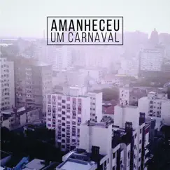Amanheceu um Carnaval (Ao Vivo) - Single by Bibiana Petek album reviews, ratings, credits