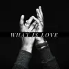 What Is Love (feat. Truth, Gabriel & D'onna Miller) - Single album lyrics, reviews, download