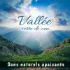 Vallée verte de zen - Sons naturels apaisants, musique de détente et de méditation, moment pour le silence et l'hypnose album lyrics, reviews, download