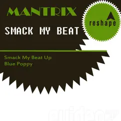 Smack My Bitch Up (Smack My Beat up Rmx) Song Lyrics