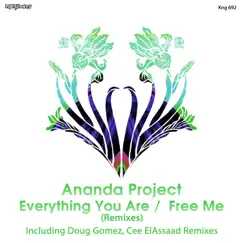 Everything You Are / Free Me (Remixes) - EP by Ananda Project album reviews, ratings, credits