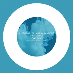 Say What - Single by Antoine Delvig & Walcus album reviews, ratings, credits