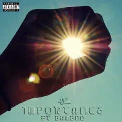 Importance (feat. Bambno) - Single by E.R. album reviews, ratings, credits