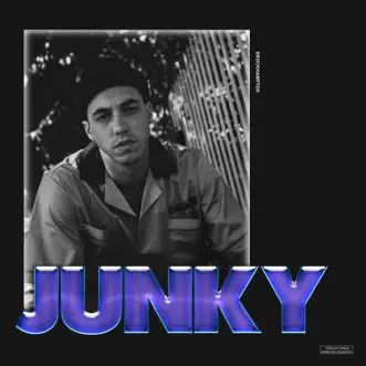 Junky - Single by BROCKHAMPTON album download