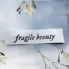 Fragile Beauty by Chris Doney & Beth Perry album reviews, ratings, credits