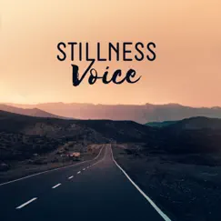 Stillness Voice: Unique Moments with New Age by Relaxing Music Zone album reviews, ratings, credits