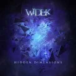 Hidden Dimensions by Widek album reviews, ratings, credits
