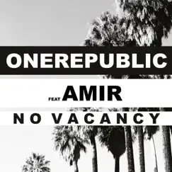 No Vacancy (feat. Amir) [French Language Version] - Single by OneRepublic album reviews, ratings, credits