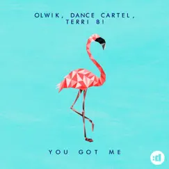 You Got Me - Single by OLWIK, Dance Cartel & Terri B! album reviews, ratings, credits