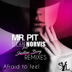 Afraid to Feel (Erick Fill Remix) [feat. Justine Berg] Song Lyrics