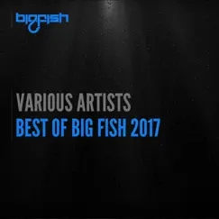Best of Big Fish 2017 by Various Artists album reviews, ratings, credits