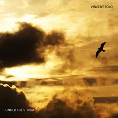 Under the Storm - Single by Vincent Solo album reviews, ratings, credits