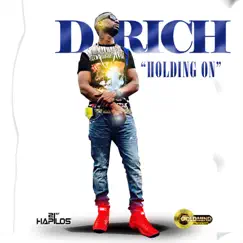 Holding on - Single by D-Rich album reviews, ratings, credits