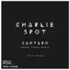 Cantaro (Bruno Zarra Remix) - Single album lyrics, reviews, download