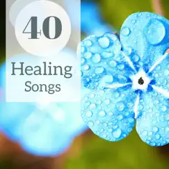 40 Healing Songs - Ambient Spa Music for Massage, Zen Flutes & Nature Sounds by Healing Naturists & Nature Sounds Nature Music album reviews, ratings, credits