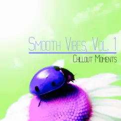 Smooth Vibes, Vol. 1 (Chillout Moments) by Various Artists album reviews, ratings, credits