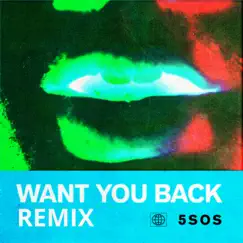 Want You Back (Tritonal Remix) Song Lyrics