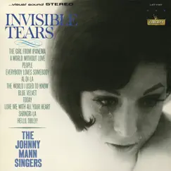 Invisible Tears Song Lyrics