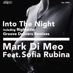 Into the Night (feat. Sofia Rubina) by Mark Di Meo album reviews, ratings, credits