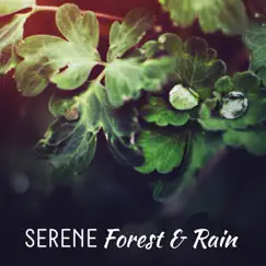Serene Forest & Rain: Effective Sounds of Nature for Relaxation, Stress Reduction, Meditation & Sleep Better by Mothers Nature Music Academy album reviews, ratings, credits